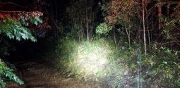 img-20260629-wa0017