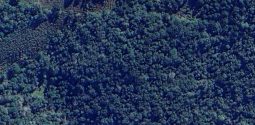 screenshot_20260605_214716_maps
