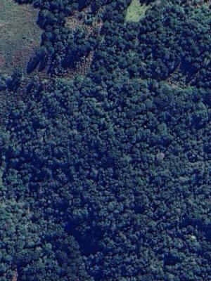 screenshot_20260605_214716_maps