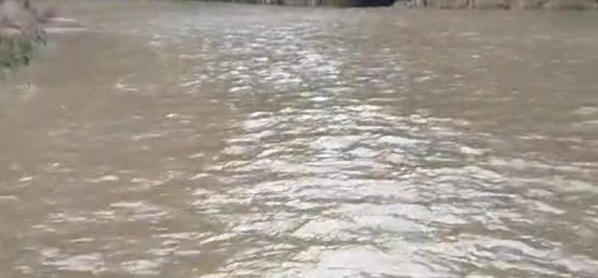 6f33bf2c-4cec-46c3-bb45-bb1387ddce53