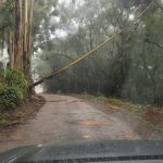 img-20260711-wa0048