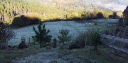 img-20260823-wa0002