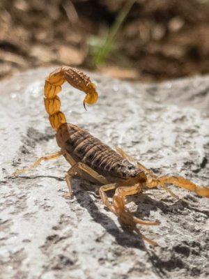sina-katirachi-vfdrlddp_sk-unsplash-scaled-e1695827744179-730x480-1