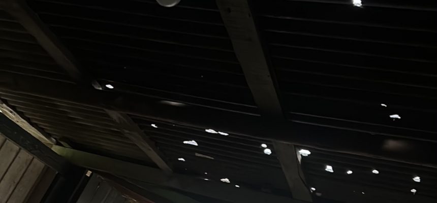 99482f57-463e-4147-ac00-8e61647cb71b