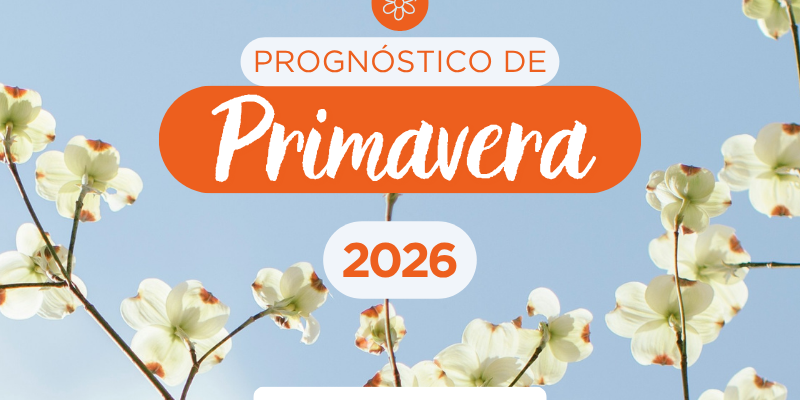 card-primavera-26